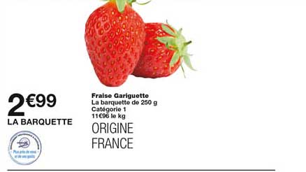 fraise gariguette