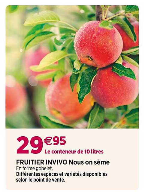 fruitier invivo nous on sème