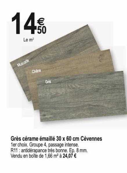 grès cérame émaillé 30 x 60 cm