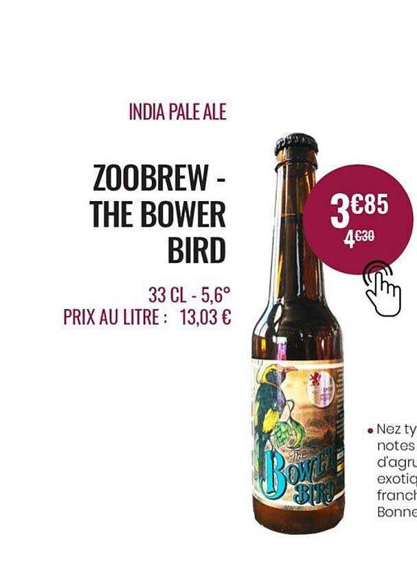 india pale ale zoobrew - the bowerbird
