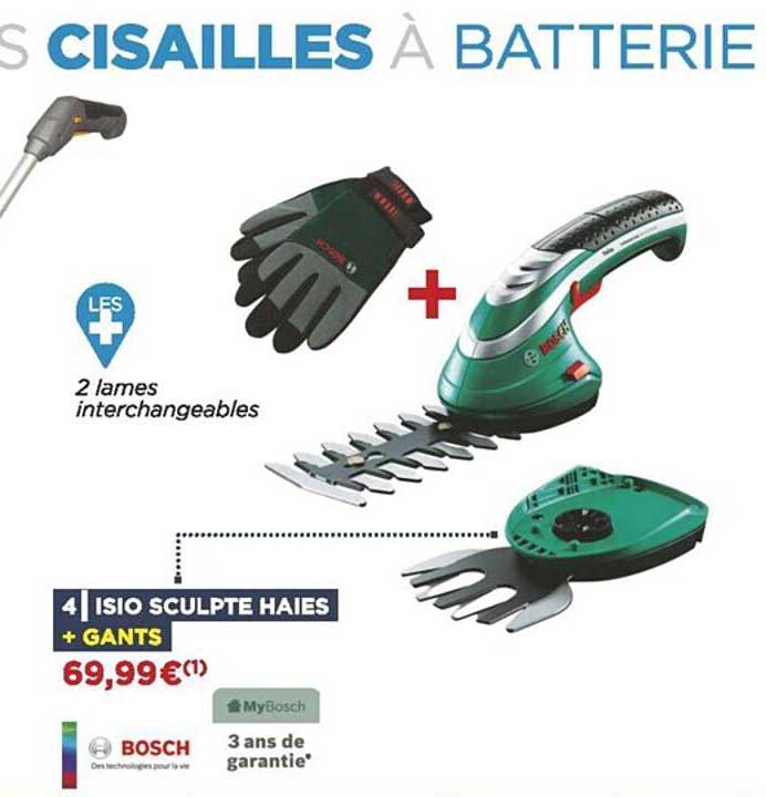 isio sculpte haies bosch