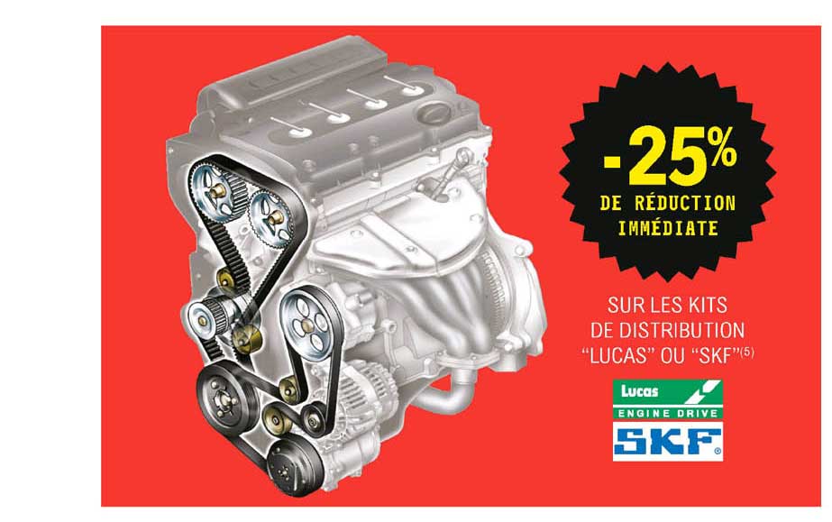 kits de distribution "lucas" ou "skf"