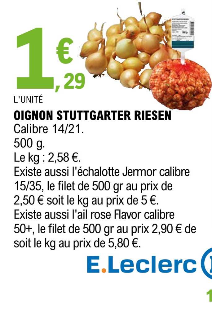 oignon stuttgarter riesen