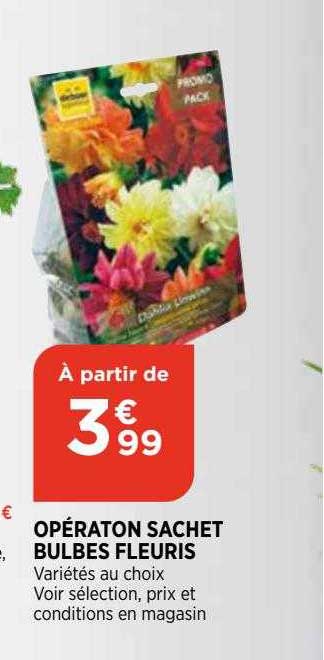 opération sachet bulbes fleuris