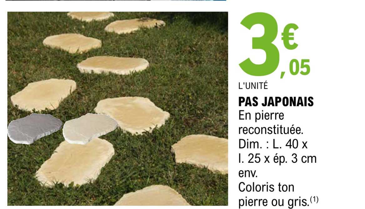 pas japonais
