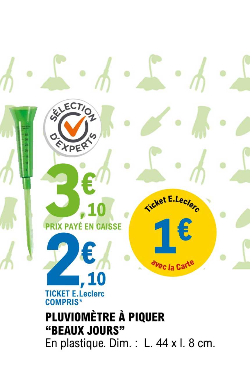 pluviomètre à piquer "beaux jours"