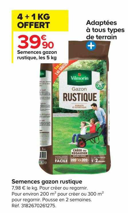 Semences Gazon Rustique Vilmorin