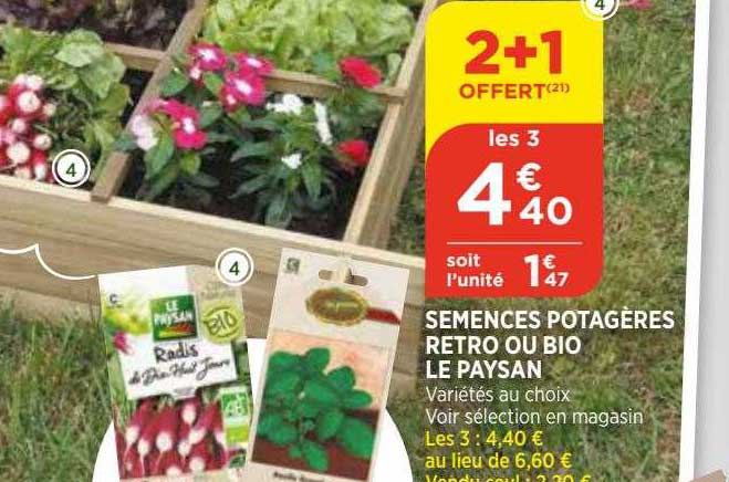 semences potagères retro ou bio le paysan