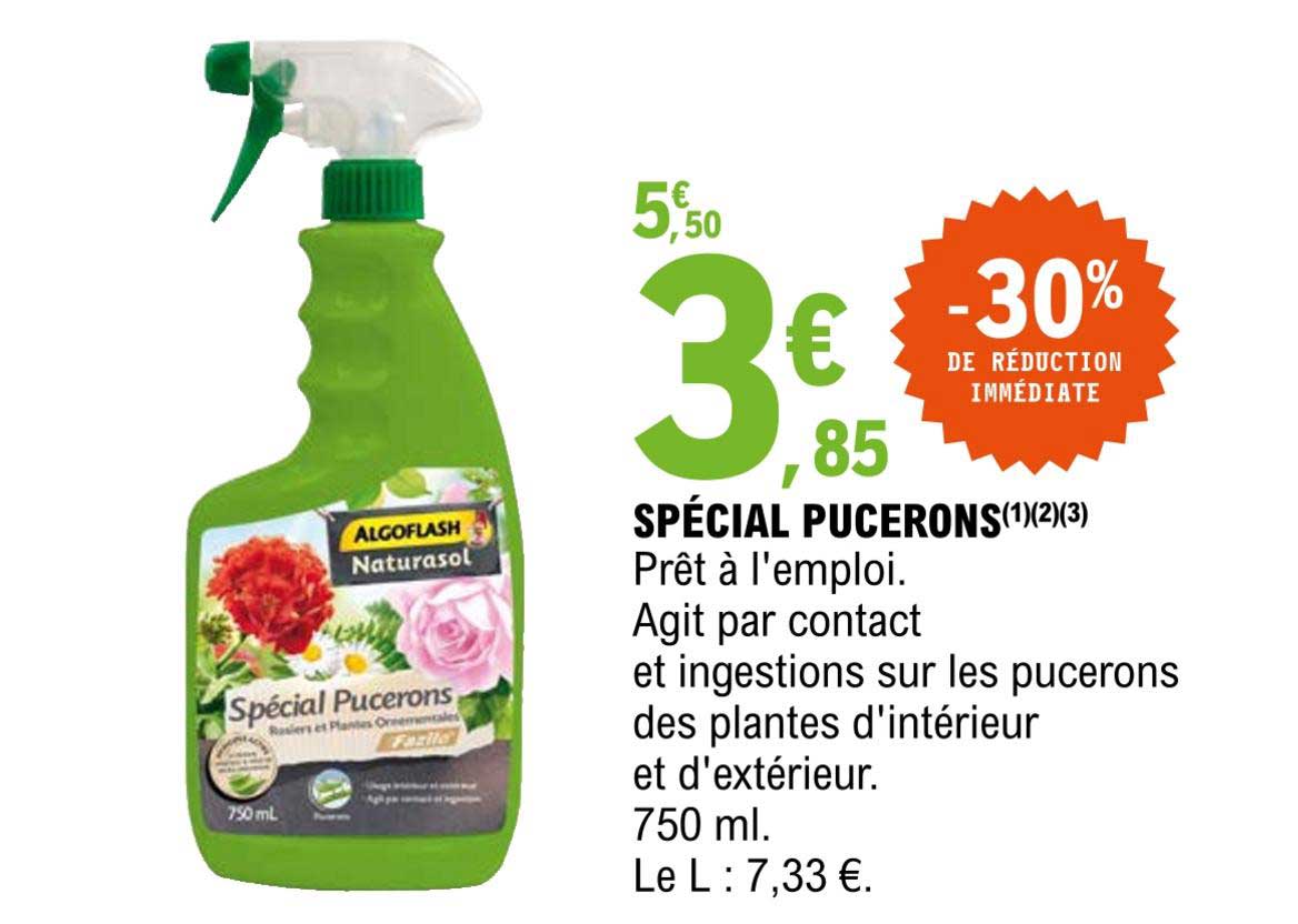 spécial pucerons algoflash