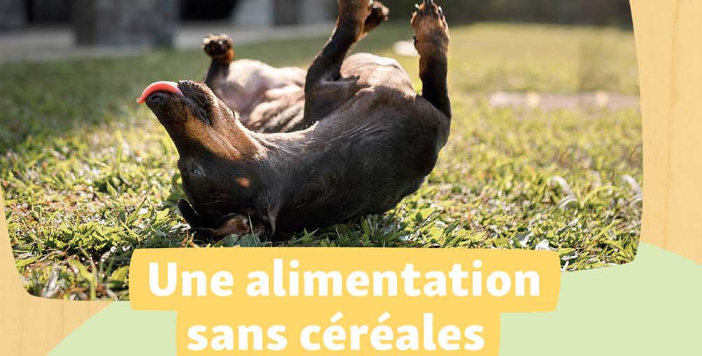 une alimentation sans céréales