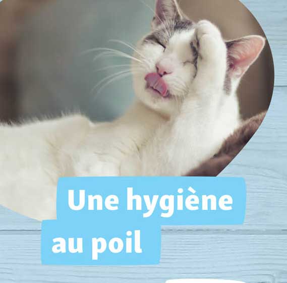 une hygiène au poil