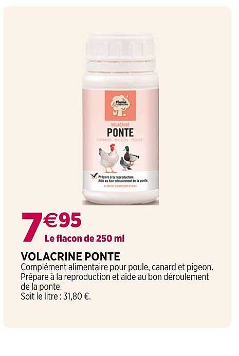 volacrine ponte