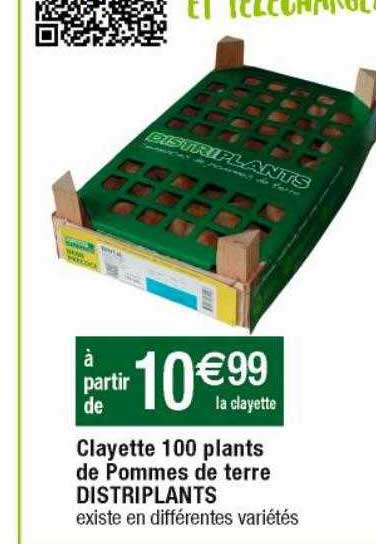 clayette 100 plants de pommes de terre distriplants