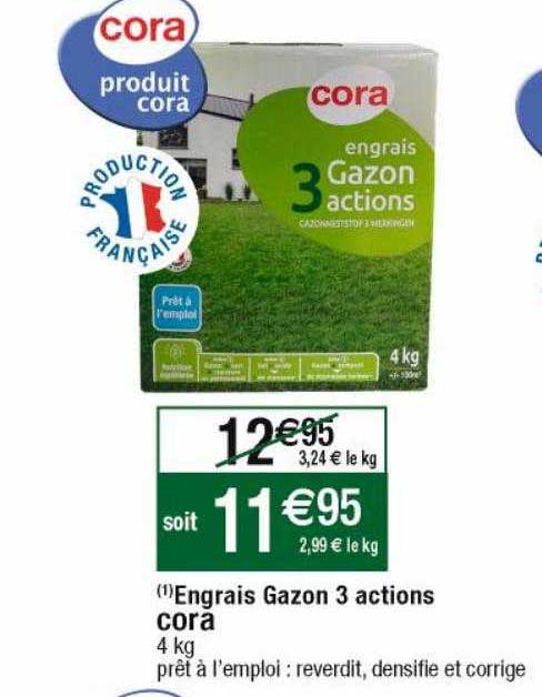 engrais gazon 3 actions cora
