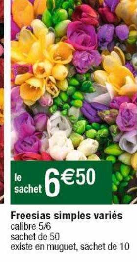 freesias simples variés