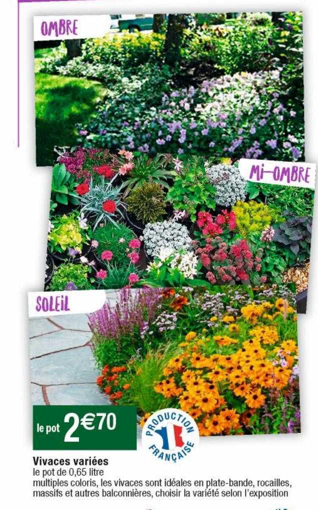 vivaces variées
