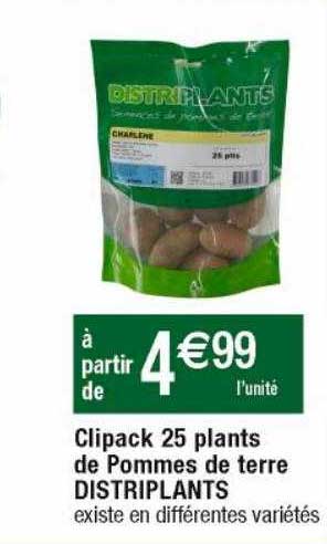 clipack 25 plants de pommes de terre distriplants