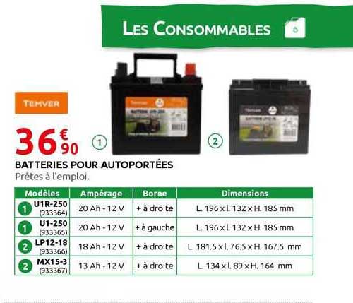 batteries pour autoportées temver