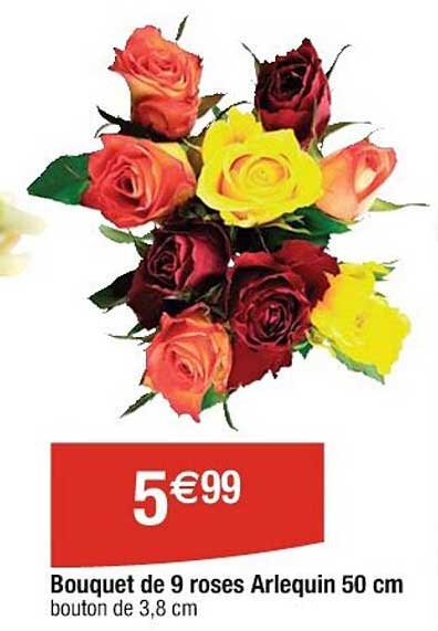 Bouquet De  9 Roses Arlequin 50 Cm