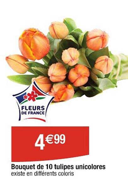 Bouquet De  Tulipes Unicolores