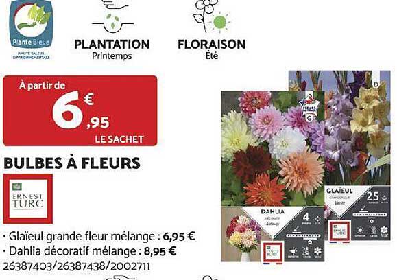 Bulbes à Fleurs Ernest Turc