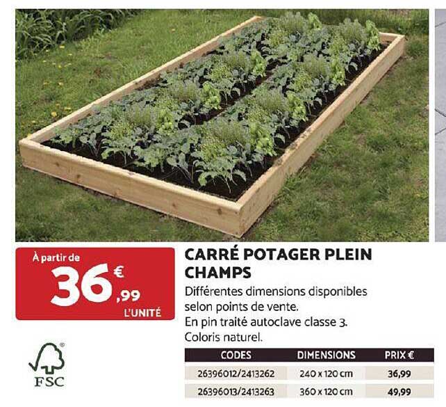 carré potager plein champs