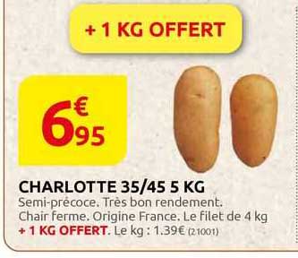 charlotte 35/45 5 kg