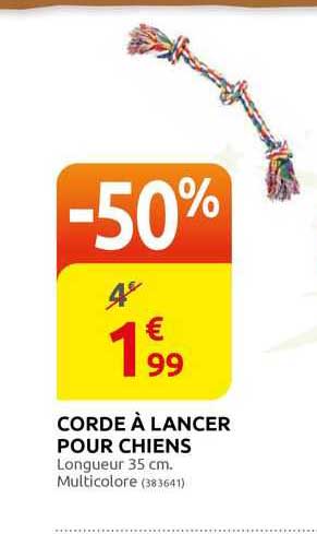 corde à lancer pour chiens