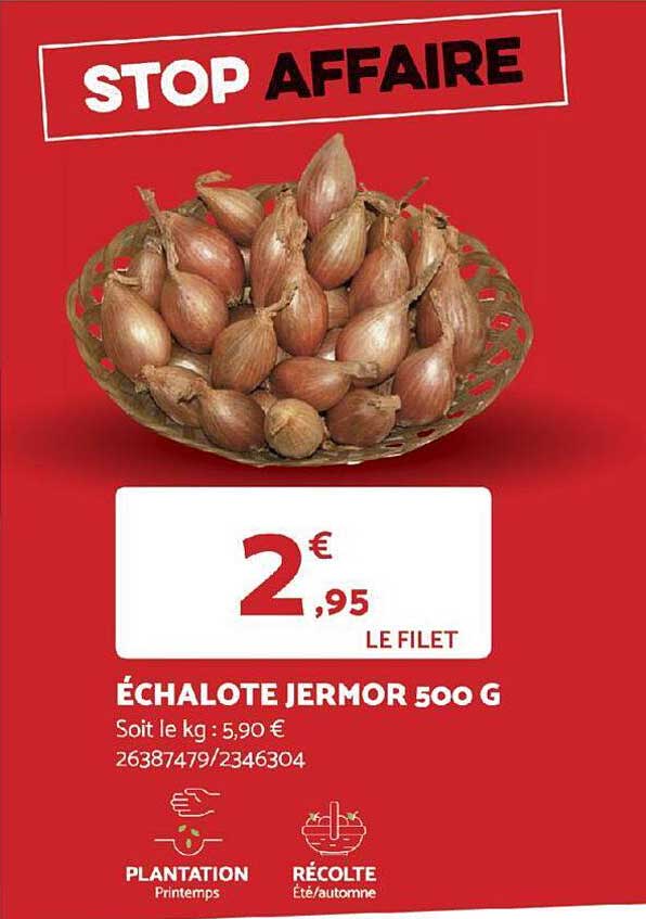 échalote jermor 500 g