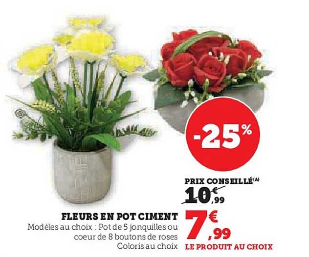 Fleurs En Pot Ciment