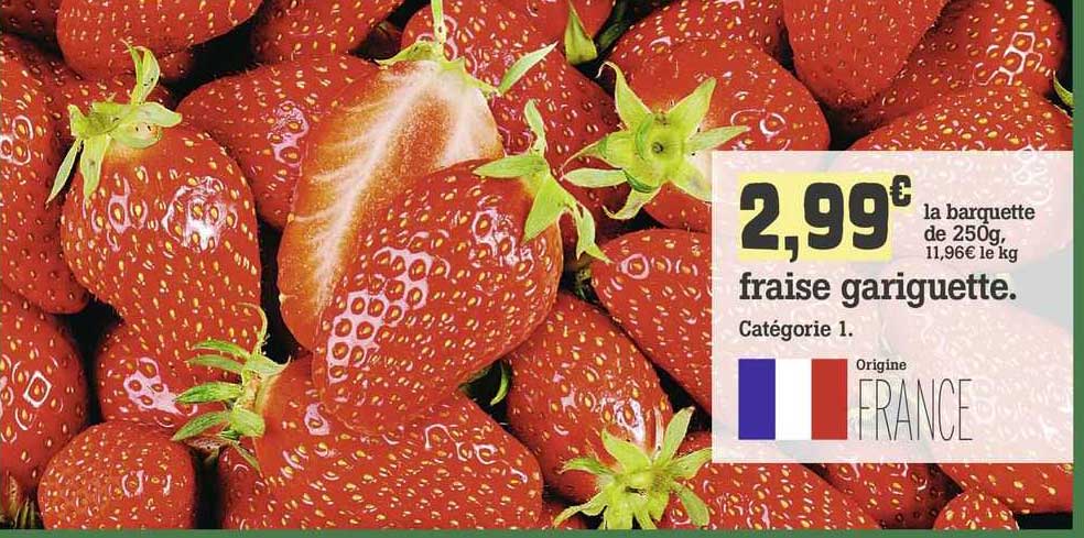 fraise gariguette