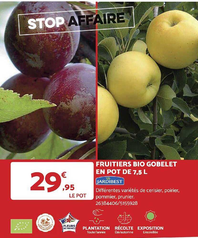 fruitiers bio gobelet en pot de 7,5 l jardibest