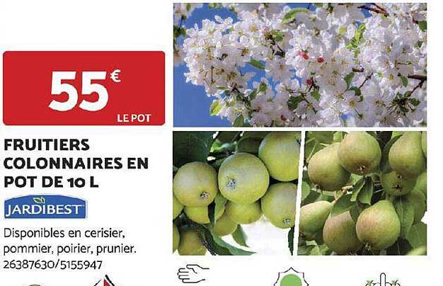 Fruitiers Colonnaires En Pot De 10 L Jardibest