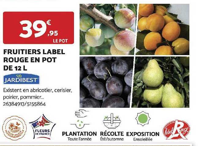 fruitiers label rouge en pot de 12 l jardibest