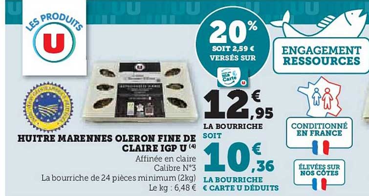 huîtres marennes oléron fine de claire igp u