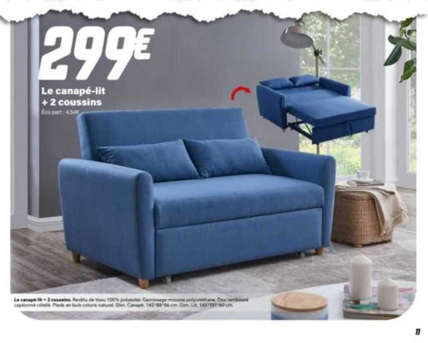 le canapé-lit + 2 coussins
