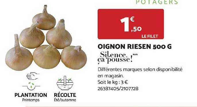 oignon riesen 500 g silence ça pousse !