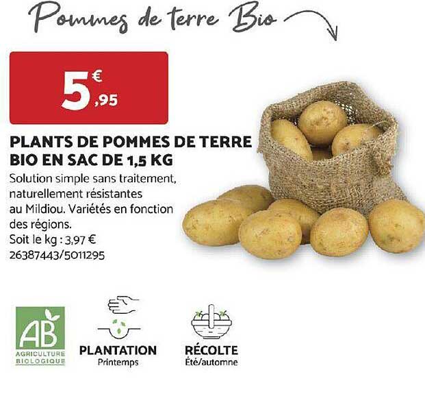 plants de pommes de terre bio en sac de 1,5 kg