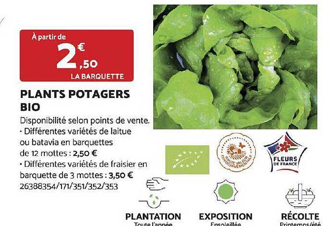 plants potagers bio