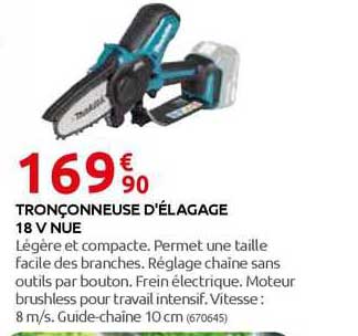 tronçonneuse d'élagage 18 v nue