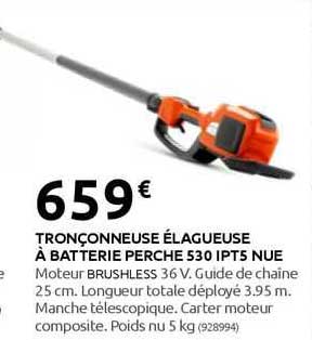 tronçonneuse élagueuse à batterie perche 530 ipt5 nue