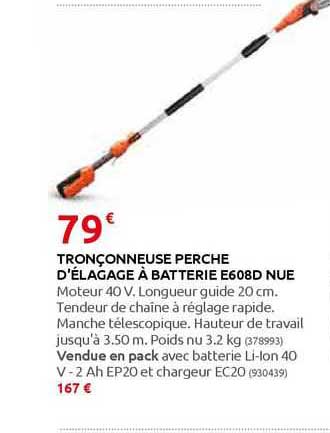 tronçonneuse perche d'élagage à batterie e608d nue