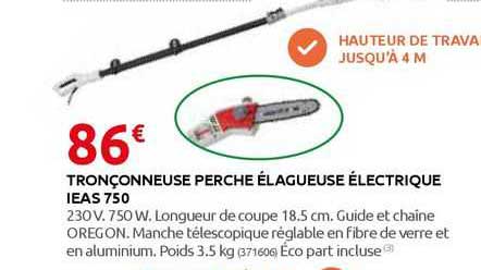 tronçonneuse perche élagueuse électrique ieas 750