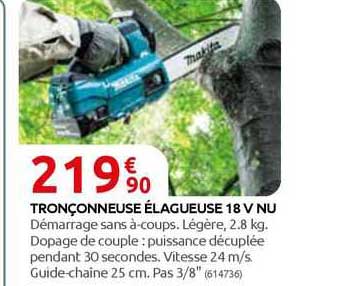 tronçonneuses élagueuse 18 v nu