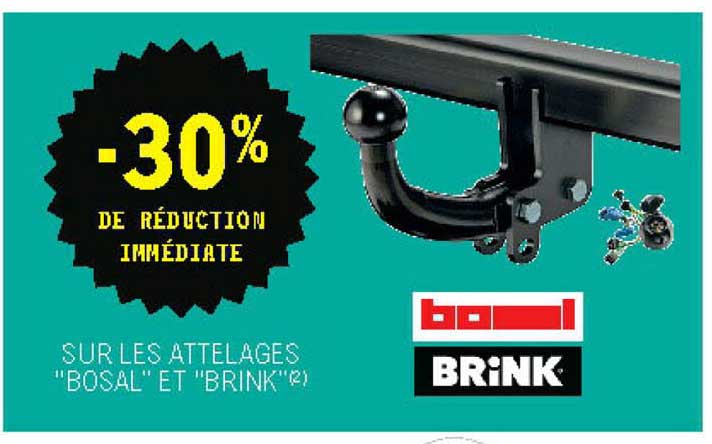 attelages "bosal" et "brink"