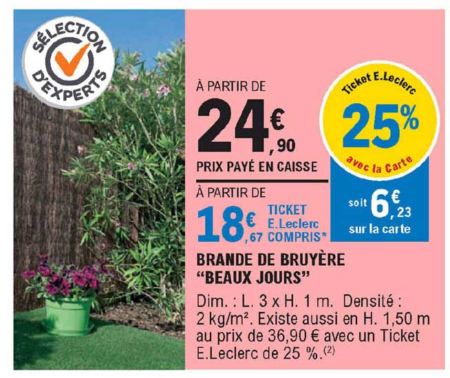 brande de bruyère "beaux jours"