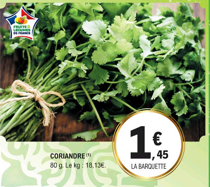 Coriandre