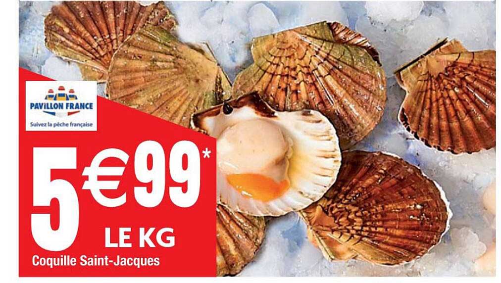 coquille saint-jacques