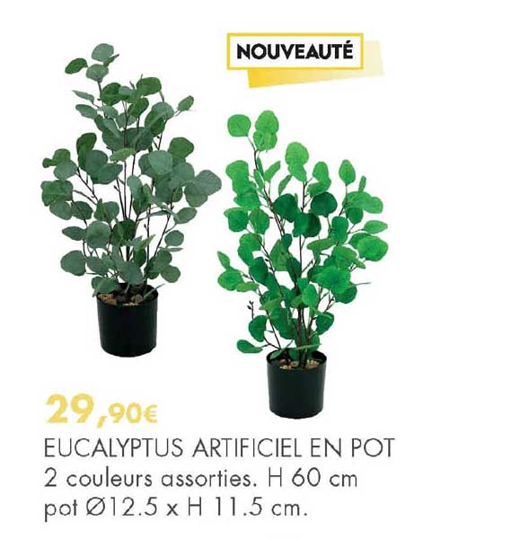 eucalyptus artificiel en pot