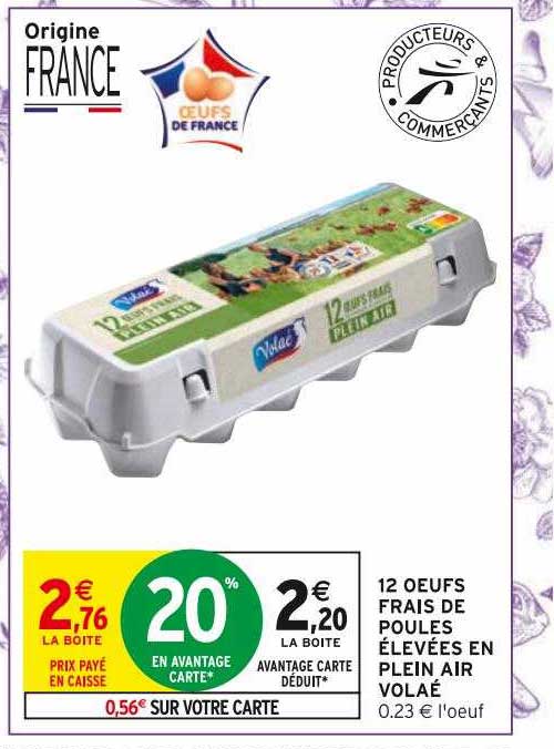 12 œufs frais de poules élevées en plein air volaé